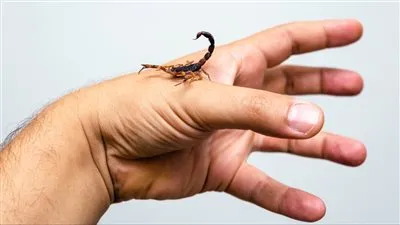 الصحة تكشف أول إجراء يقوم به المواطن إذا 