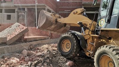 اليوم.. 225 إزالة للتعديات على الأراضي الزراعية وأملاك الدولة بالدقهلية (صور)