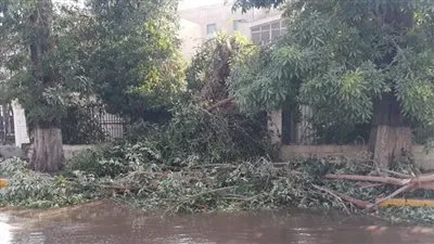 الأرصاد تُفجر مفاجأة بشأن موجة الطقس السيئ في أسوان 