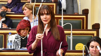 مقترح برلماني لـ وزير التعليم بشأن تدريس مادة حقوق الإنسان بالمدارس