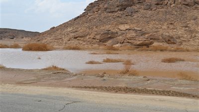 الري تكشف استعدادتها للتعامل مع مياه السيول (فيديو)