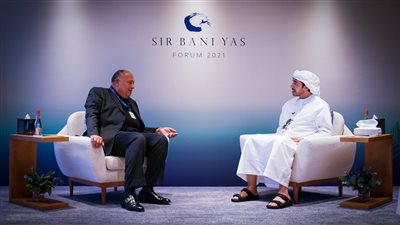 وزير الخارجية يبحث مع نظيره الإماراتي سبل تعزيز ركائز الأمن القومي العربي 