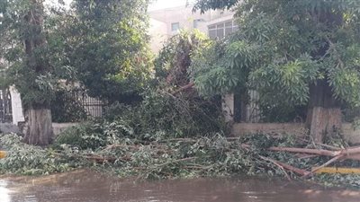 محافظ أسوان يعلن غدًا الأحد إجازة استثنائية لطلبة المدارس بسبب الطقس