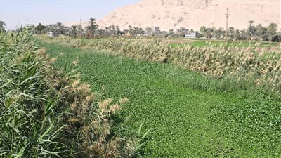 محافظ قنا يوجه بتطهير ترعة الغلاسي بدشنا خلال ٤٨ ساعة