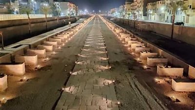 مصطفى وزيري: الرئيس السيسي حريص على معرفة كل صغيرة وكبيرة بمجال الآثار