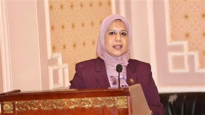 إسكان النواب توصي بإنهاء الأعمال بطلبات الهلالي وتنفيذ مشروع الصرف الصحي بسوهاج