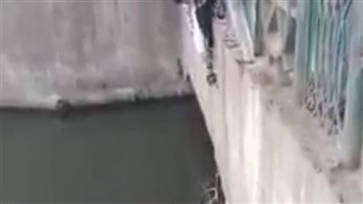 شاب ينقذ كلبا من الغرق بالفيوم