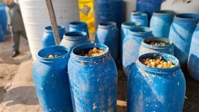 ضبط 120 طن مخللات غير صالحة للاستهلاك الآدمي في الدقهلية