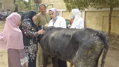توافد وإقبال كبير على قافلة جامعة القاهرة في 