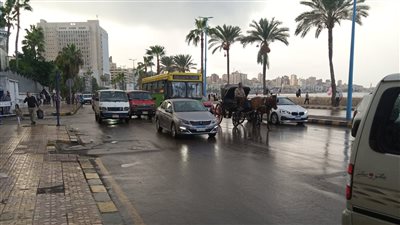 أمطار على الإسكندرية.. والمحافظة ترفع درجة الاستعداد (فيديو)