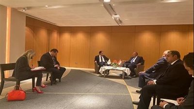 وزير الخارجية يبحث مع نظيره القبرصي الارتقاء بالعلاقات الثنائية