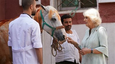 تفاصيل زيارة الأميرة كاميلا لمستشفى 