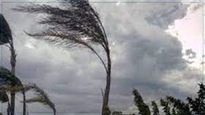 مفاجآت طقس اليوم.. عواصف ورياح تضرب القاهرة الكبرى وتوقعات بسقوط أمطار
