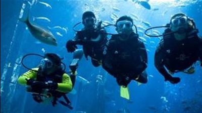 تفاصيل حصول مصر على المركز الثاني كأفضل وجهة للغوص في العالم (فيديو)