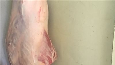 تفاصيل حملة تموينية على المخابز والمحلات بالدقهلية (صور)