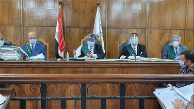 الإدارية العليا تحاكم الدور السلبى للفن وتأثير أغانى المهرجات 