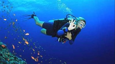 قرارات جديدة لتنظيم سياحة الغوص والأنشطة البحرية 