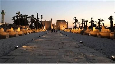 مدير معابد الكرنك يكشف مفاجأة خلال افتتاح طريق الكباش الجديد