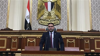 برلماني: السيسي وجه رسالة مهمة لكل المسئولين خلال قمة الكوميسا