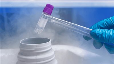 للباحثات عن الأمومة المتأخرة.. تعرفي على الضوابط الشرعية عند عملية تجميد البويضات