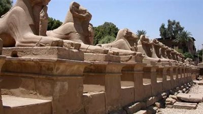 الآثار: طريق الكباش أهم كشف أثري شهدته مصر منذ اكتشاف توت عنخ آمون (فيديو)