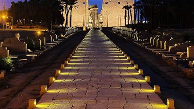 عضو احتفالية طريق الكباش: الحفل تنقله 200 وكالة أنباء عالمية (فيديو)