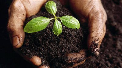 الزراعة: تفاجأنا بارتفاع أسعار السماد.. وكان علينا اتخاذ إجراءات (فيديو)