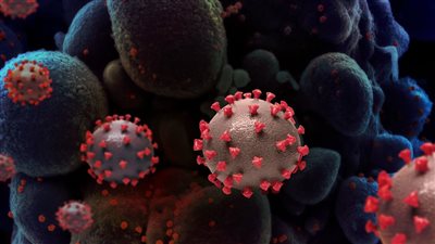 هل اللقاحات فعالة أمام سلالة 