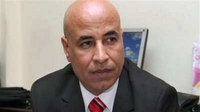 اتحاد المصريين بالخارج: اهتمام غير مسبوق بتطوير صعيد مصر