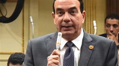 نائب برلماني: الولادة القيصرية في مصر 4 أضعاف المعدل العالمي (فيديو)