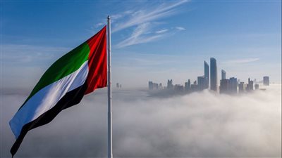 يوم الشهيد.. تعرف على تضحيات الإمارات في اليمن