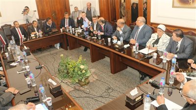 طارق تهامي: الوفد مؤسسة كبيرة تمثل جزءًا من قدرات الدولة