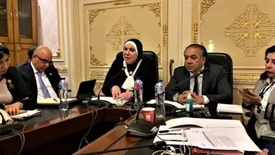 وزيرة التجارة تستعرض بمجلس النواب استراتيجية الدولة لتعزيز العلاقات الاقتصادية المصرية الافريقية
