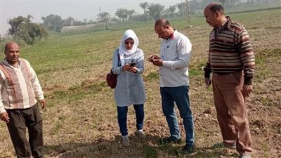 وكيل زراعة الفيوم يتواصل مع المزارعين لحل مشاكلهم ومتابعة حملة محصول القمح 