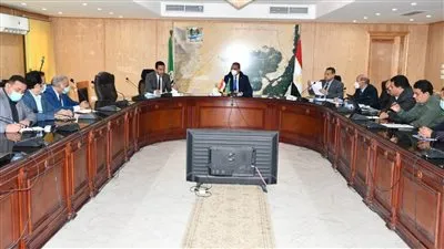محافظ الفيوم يناقش آليات ترفيق المجمع الصناعي الجديد لاستخراج الأملاح والمعادن 