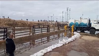 محافظ الإسكندرية: من الممكن تعطيل الدراسة مرة أخرى في حالة الأمطار