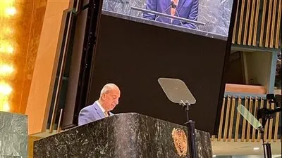 عاجل.. الأمم المتحدة تعتمد مشروعي قراري مصر بشأن القدس والجولان