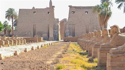 سمير فرج يفجر مفاجأة حول تطوير طريق الكباش