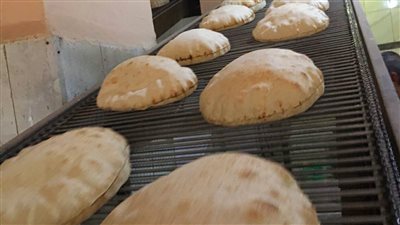 حملة مكبرة على الأسواق والمخابز بالإسكندرية