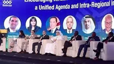 خبير اقتصادي: منتدى رؤساء هيئات الاستثمار يفتح الأسواق الأفريقية أمام المنتج المصري 
