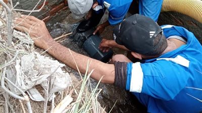 رئيس مياه القناة: تدخلنا فورا لرفع المياه الجوفية السطحية بقرية فنارة 