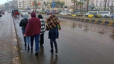 سقوط أمطار على سواحل الإسكندرية.. تزامنًا مع نوة قاسم ( فيديو وصور)