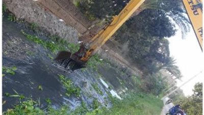 تطهير 81 مجرى مائيا بطول 315 كيلومتر خلال شهرين بالفيوم.. صور