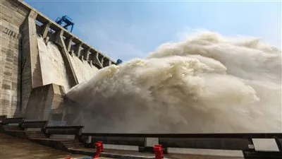  محمد شردي: فرحة الشعب التنزاني ببناء مصر للسد لا توصف (فيديو)