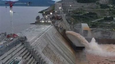 عاجل.. تصريح جديد من الرئيس السيسي بشأن السد الإثيوبي