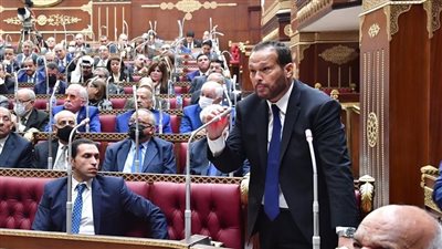 النائب محمد حلاوة: 