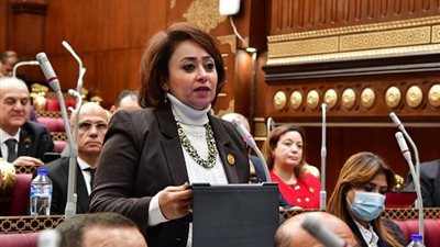 برلمانية: احتفال مصر باليوم العالمي لحقوق الإنسان سيركز على مبدأ المساواة
