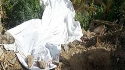 العثور على جثة لتلميذ بزراعات القصب في نجع حمادي