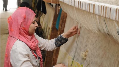 كيف تمول مشروعك من جهاز تنمية المشروعات وتستفيد من جميع خدماته؟