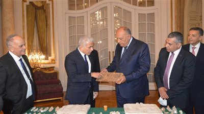 وزير الخارجية ونظيره الإسرائيلي يشهدان وقائع استرداد مصر 95 قطعة أثرية مهربة 